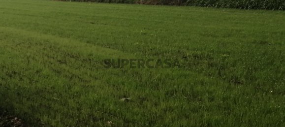 Land in Matosinhos, Portugal No. 157657 6