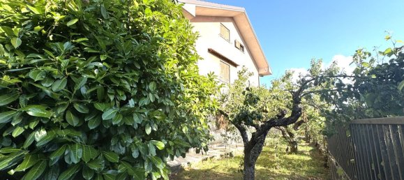 5 bedrooms House in Serra San Bruno, Italy No. 342036 5