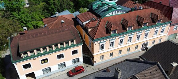 Imóvel comercial em Purgstall an der Erlauf, Austria 5216 m² N.º 127696 19