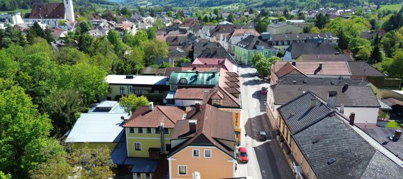 Imóvel comercial em Purgstall an der Erlauf, Austria 5216 m² N.º 127696 16