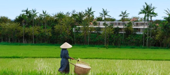 2 غرف نوم فيلا في Serenity Villas, Ubud, Indonesia رقم 2344 3