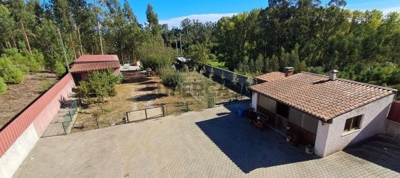 5 bedrooms House in Tondela, Portugal No. 155654 3