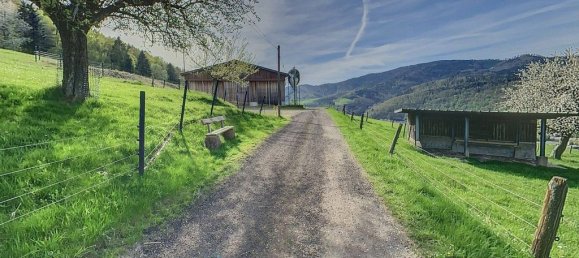 6 غرف نوم منزل في Strasbourg, France رقم 66957 13