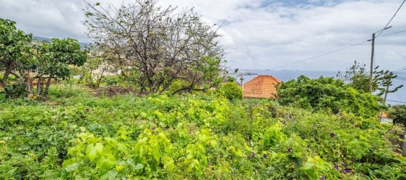 4 غرف نوم منزل في Santa Cruz, Portugal رقم 25965 7