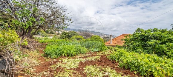 4 غرف نوم منزل في Santa Cruz, Portugal رقم 25965 6