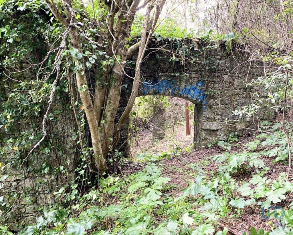 Terreno en Sintra, Portugal 8385 m² No. 95588