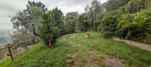 3 bedrooms Villa in Prato, Italy No. 76509 38