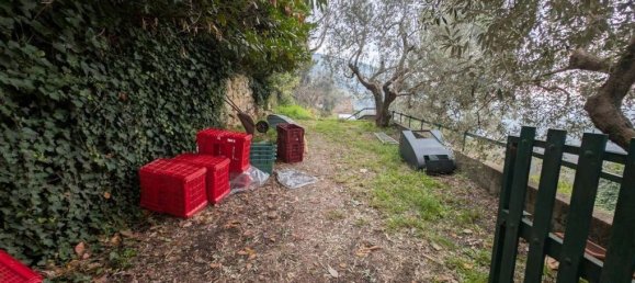 3 bedrooms Villa in Prato, Italy No. 76509 33