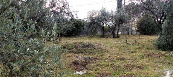 950m² Land in Flayosc, France No. 192454 2