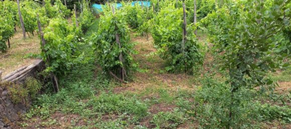 6 غرف نوم منزل في Piedimonte Etneo, Italy رقم 352431 28