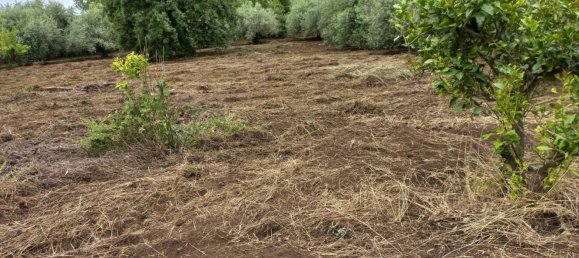 6 غرف نوم منزل في Piedimonte Etneo, Italy رقم 352431 26