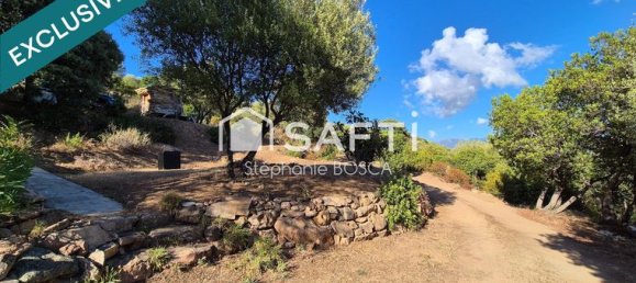 4980m² Land in Serra-di-Ferro, France No. 302839 16