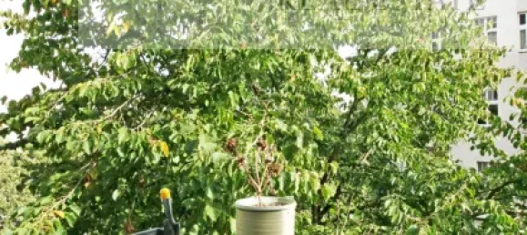 4-Zimmer Wohnung in Wedding, Germany, Nr. 291360 6