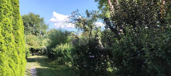  Land in Leobersdorf, Austria No. 250934 4