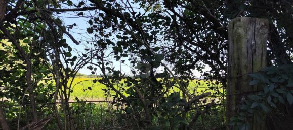  Land in Leobersdorf, Austria No. 250934 2