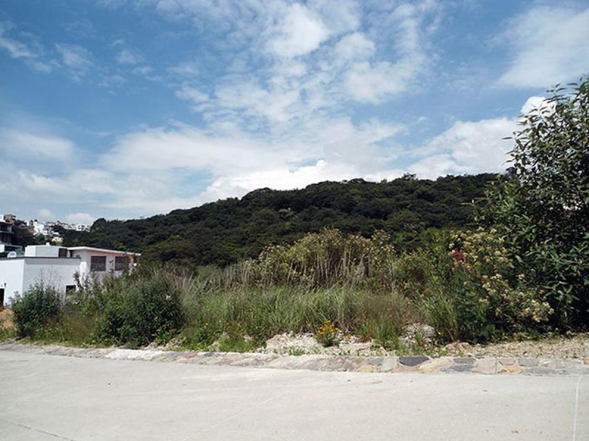  Land in Ciudad Lopez Mateos, Mexico No. 203399