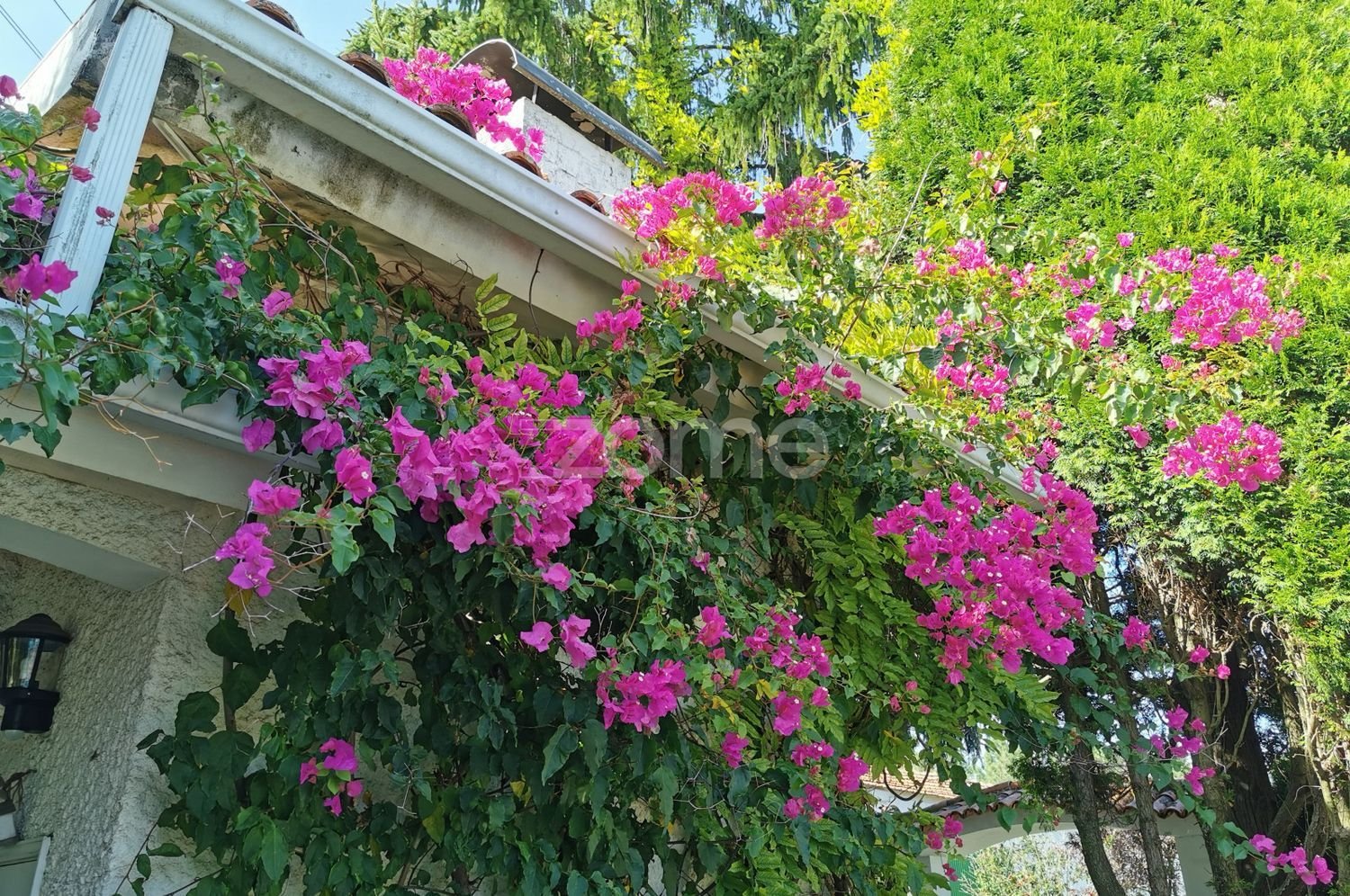 5 bedrooms House in Agueda, Portugal No. 28417