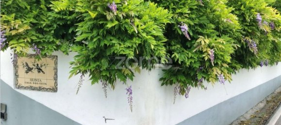 5 bedrooms House in Agueda, Portugal No. 28417 31