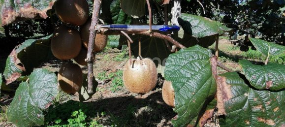 5 bedrooms House in Agueda, Portugal No. 28417 47