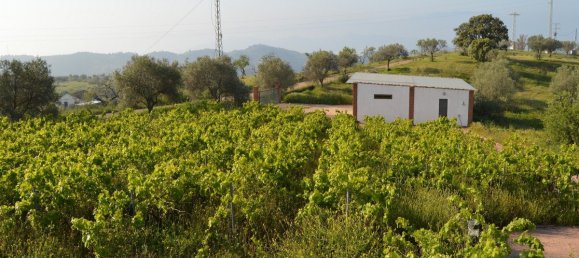 5 bedrooms House in Alora, Spain No. 72285 8