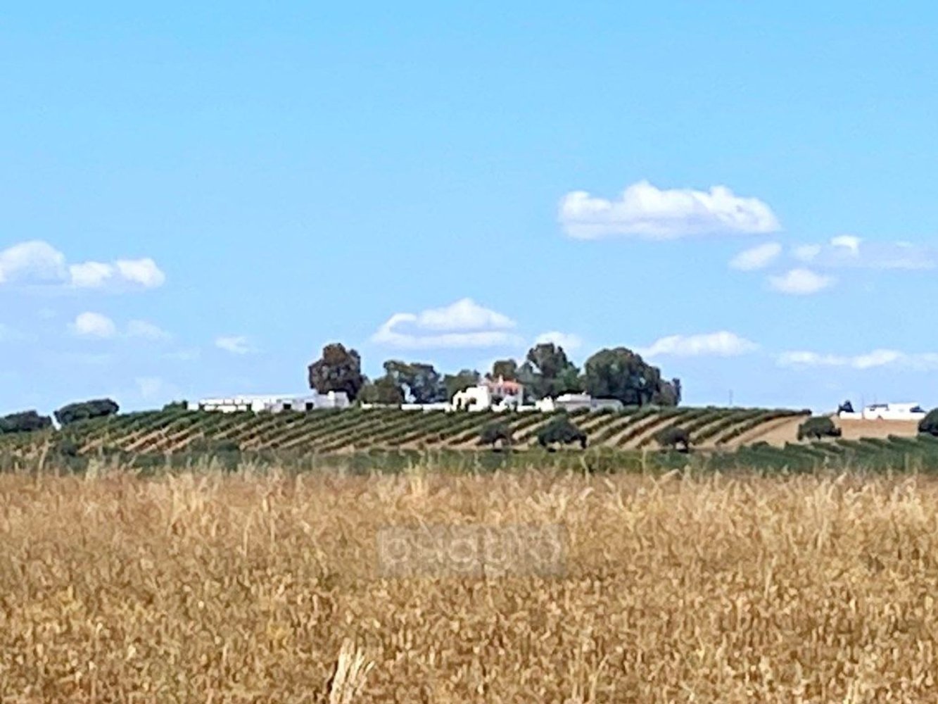 9 bedrooms Castles in Moura, Portugal No. 218030