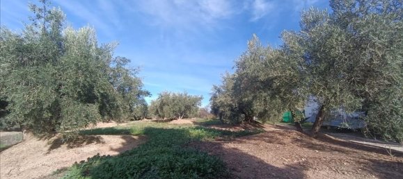 25m² Land in Fuensanta de Martos, Spain No. 156518 2