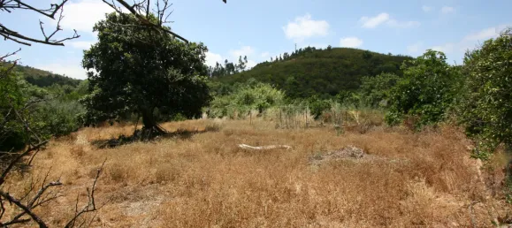 3 bedrooms House in Sao Bartolomeu de Messines, Portugal No. 214110 3