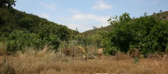 3 bedrooms House in Sao Bartolomeu de Messines, Portugal No. 214110 27