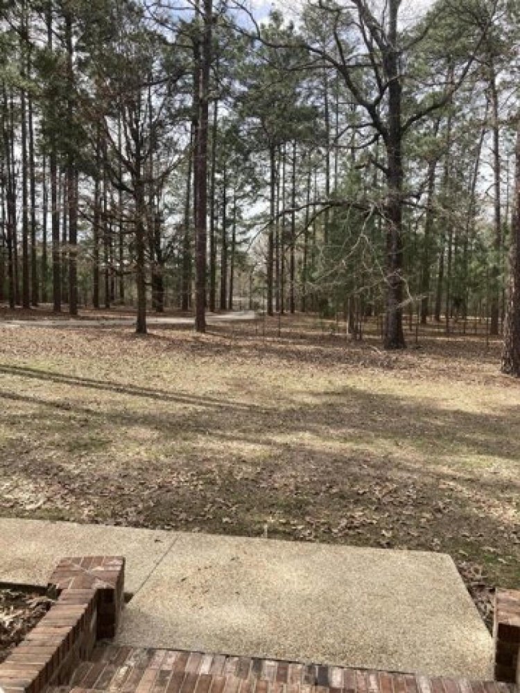 4 bedrooms House in Hattiesburg, USA No. 402580