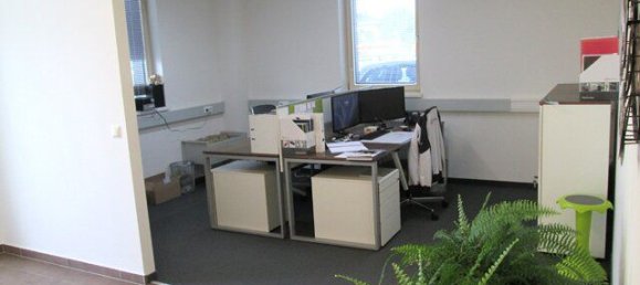 Propriété commerciale à Drassmarkt, Austria 446m² No. 253576 5