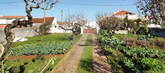 4 غرف نوم منزل في Sintra, Portugal رقم 47508 17