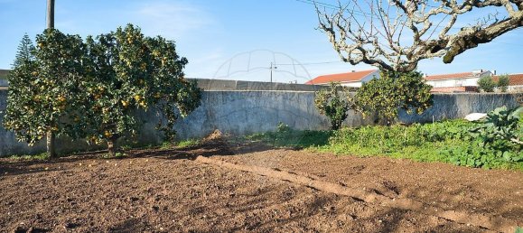 4 غرف نوم منزل في Sintra, Portugal رقم 47508 15