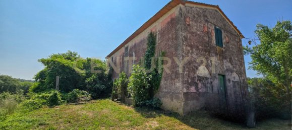 6 bedrooms House in Roccastrada, Italy No. 323878 2