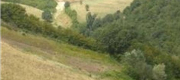 Gewerbliche Immobilie in Pesaro, Italy 2730m², Nr. 347530 8