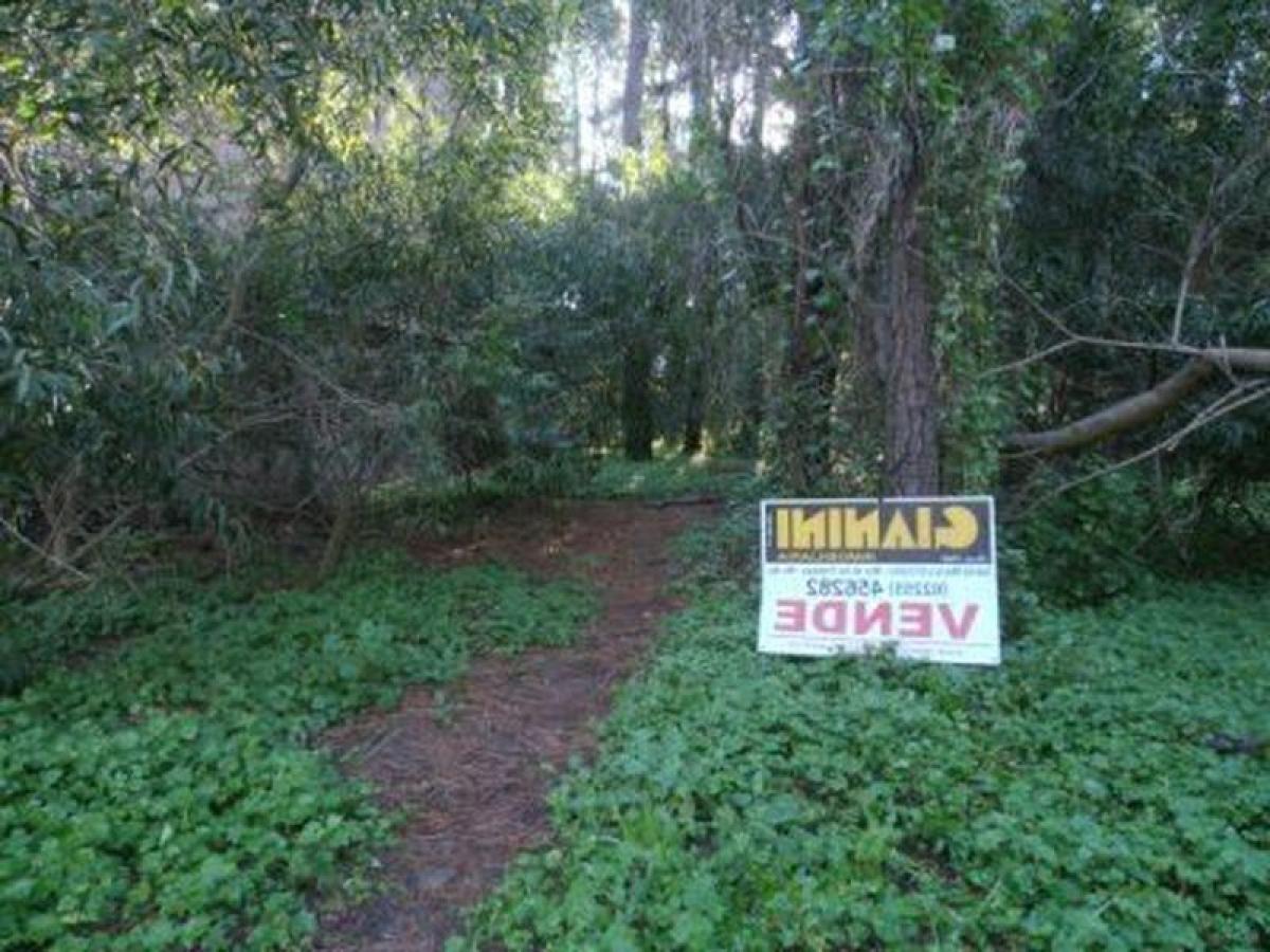 Grundstück in Mar del Plata, Argentina, Nr. 113688