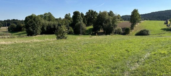 Grundstück in Weitra, Austria 1194m², Nr. 249259 2