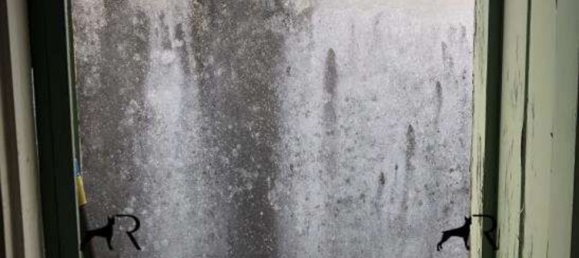 3 chambres Appartement à Borgosatollo, Italy No. 363392 13