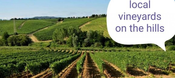 2 bedrooms House in Sardigliano, Italy No. 87 12