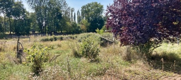 5 rooms House in Mansfeld-Sudharz, Germany No. 287772 16