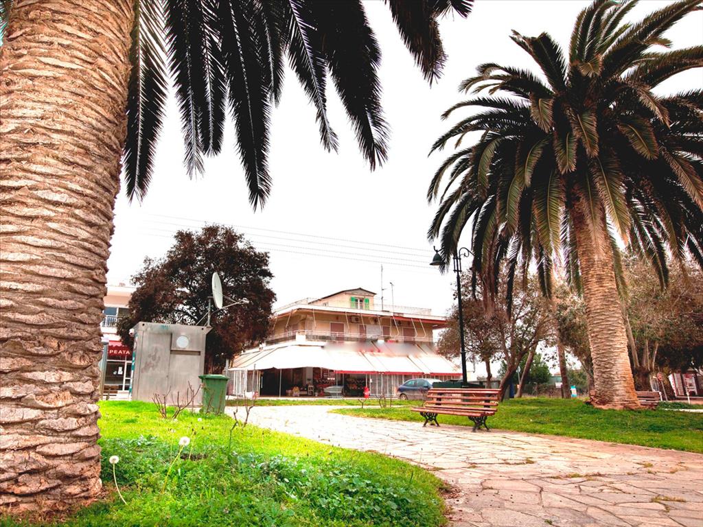  Property في Chalkidiki, Greece 600متر مربع رقم 8026