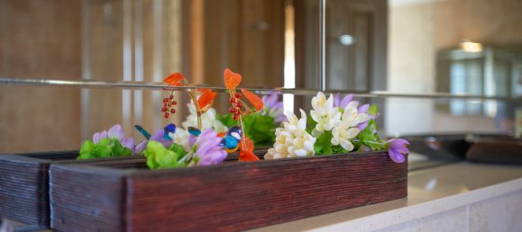 3 bedrooms Villa in Ciudad Quesada, Spain No. 153766 32