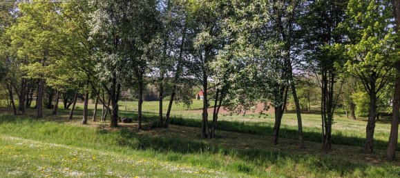  Land in Tobaj, Austria No. 220132 2