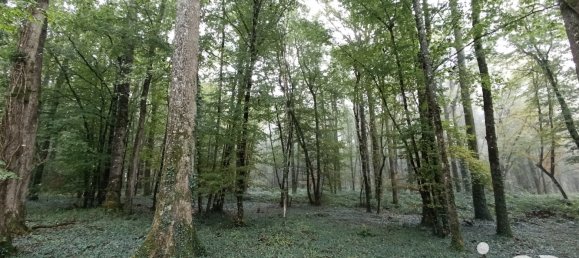 4 chambres Maison à Vicq-sur-Nahon, France No. 39089 19