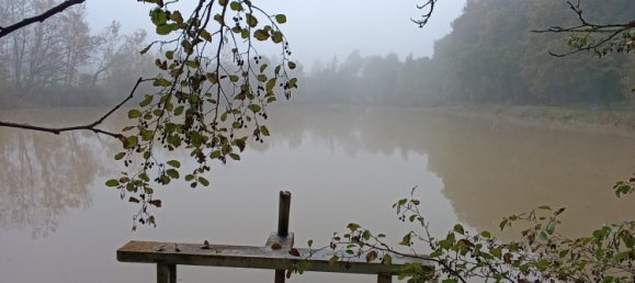 4 chambres Maison à Vicq-sur-Nahon, France No. 39089 14