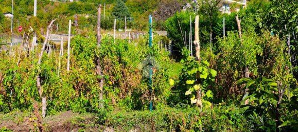 11-Zimmer Villa in Aosta, Italy, Nr. 160159 35