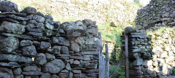 1 bedroom House in Lamego, Portugal No. 166852 14