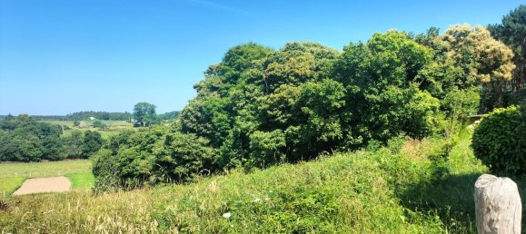  قطعة أرض في Tapia de Casariego, Spain رقم 158642 6