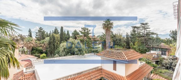 3 rooms Apartment in Palermo, Italy No. 160295 23