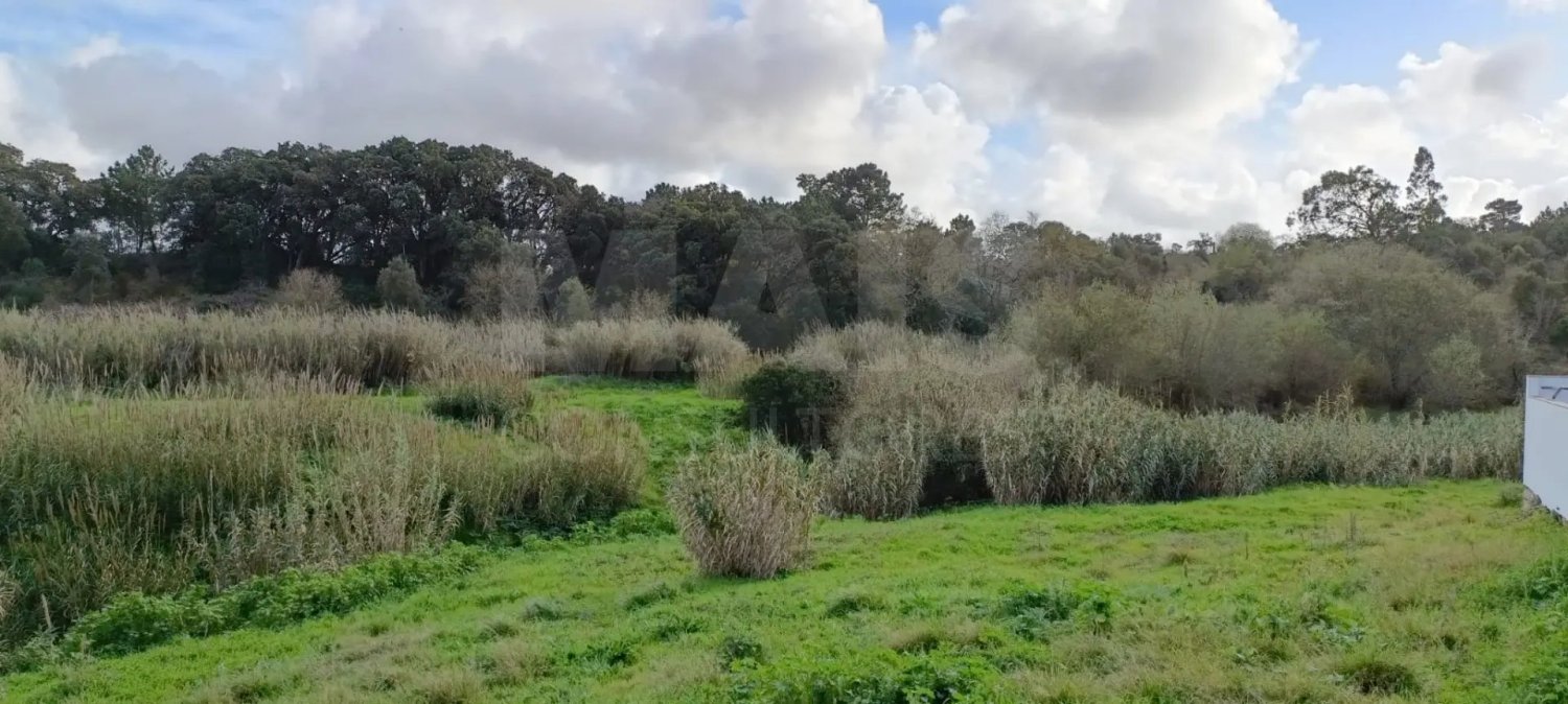  Land in Bombarral, Portugal No. 141829