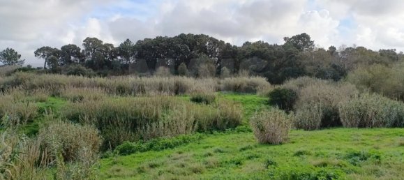  Land in Bombarral, Portugal No. 141829 3